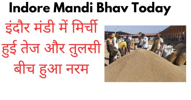 Indore Mandi Bhav Today