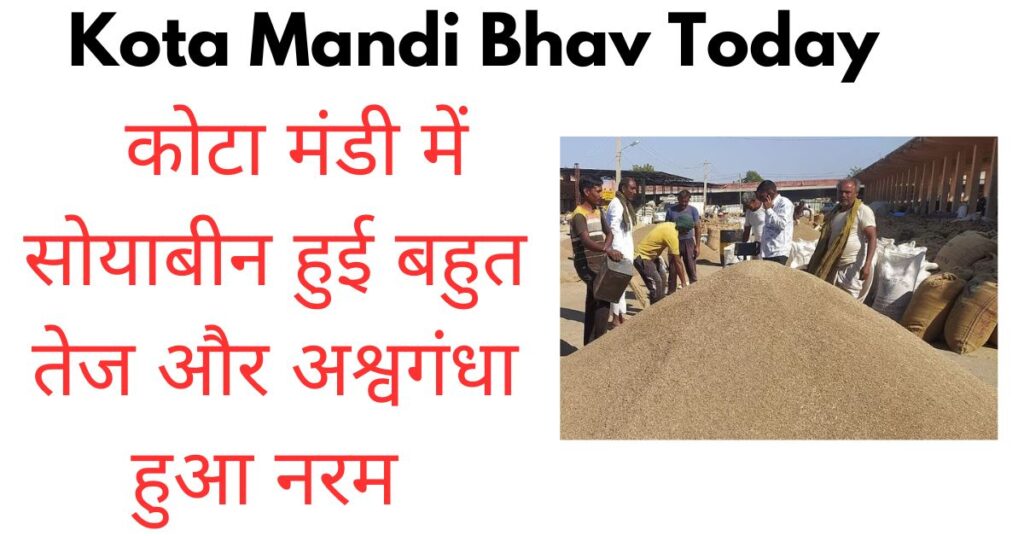 Kota Mandi Bhav Today 