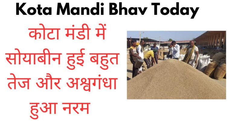 Kota Mandi Bhav Today