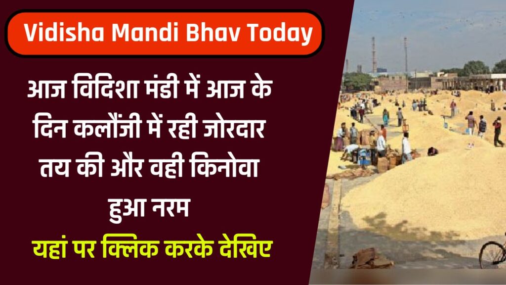 Vidisha Mandi Bhav Today 